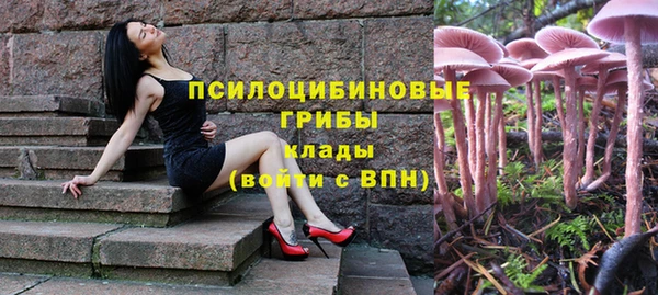MESCALINE Нефтекумск