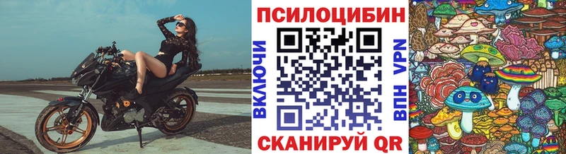 Псилоцибиновые грибы прущие грибы  Семилуки 